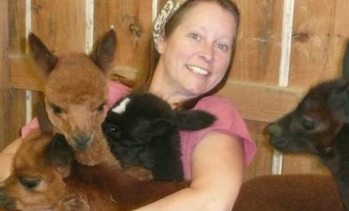 Graystone Ridge Alpacas