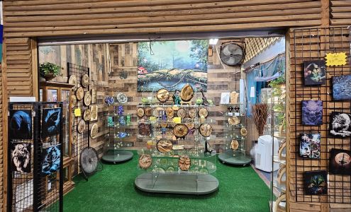 Dances With Dragonflys