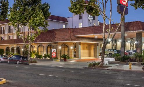 Best Western Plus South Bay Hotel