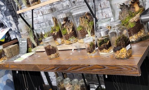 The Purple Door Store - Great Lakes Crossing