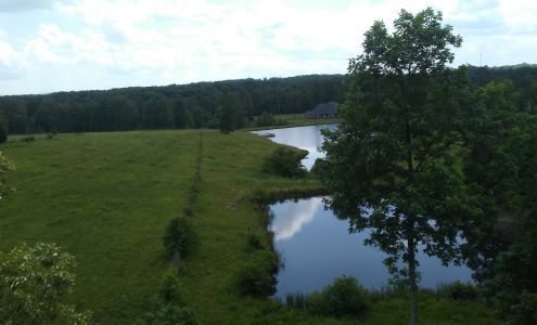 Roy Wellman's Body Shop