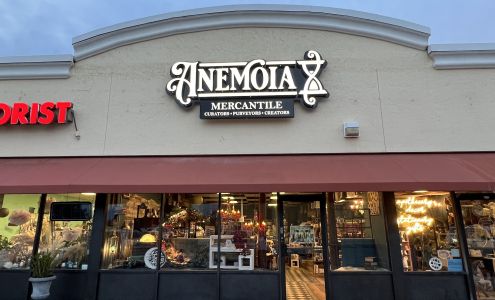 Anemoia Mercantile | Gift and Stationery Store