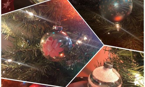 Condition Mint Galleries