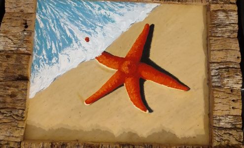 Bamboo Visions St. Augustine