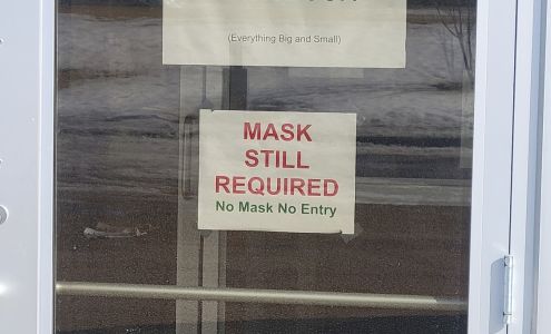 Electronic Connections Ltd