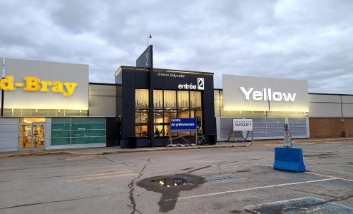 Chaussures Yellow Chicoutimi