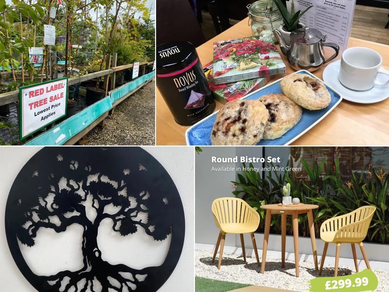 West Somerset Garden Centre