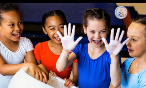 Professional Gymnastics Center