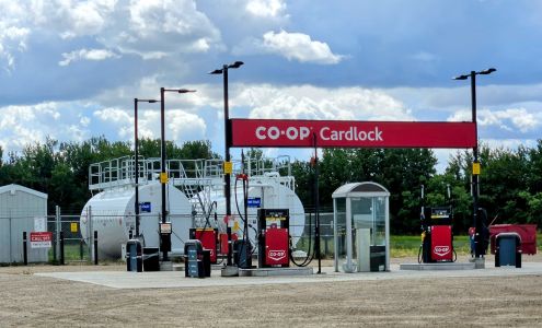 Co-op Cardlock Cut Knife