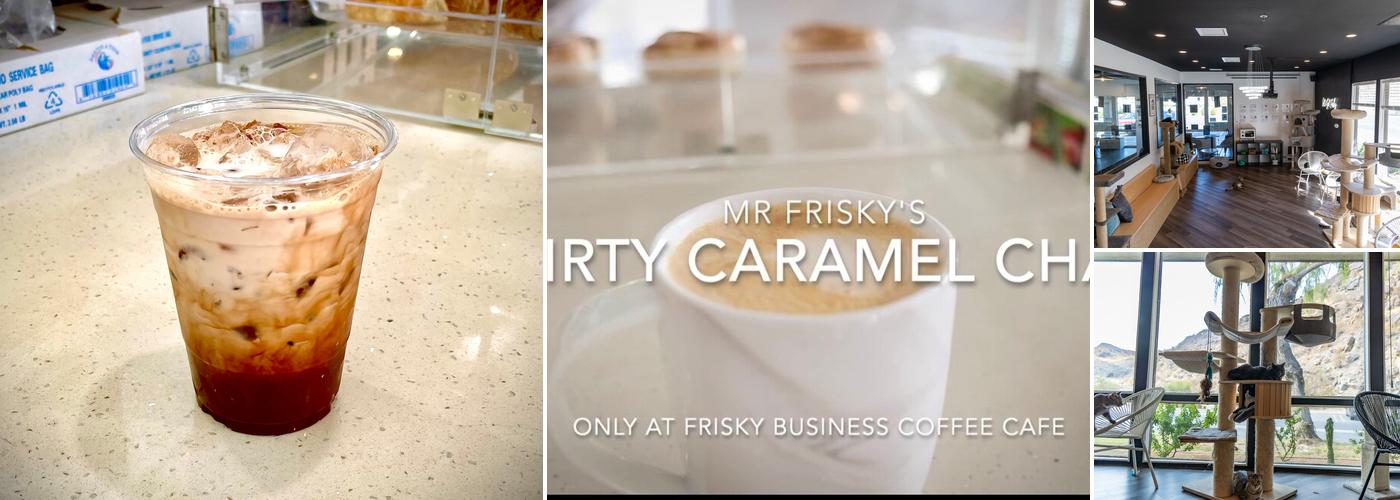 Frisky Business Palm Springs Cat Cafe