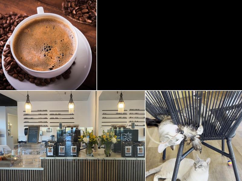 Frisky Business Palm Springs Cat Cafe Menu