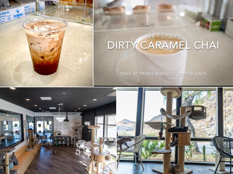 Frisky Business Palm Springs Cat Cafe