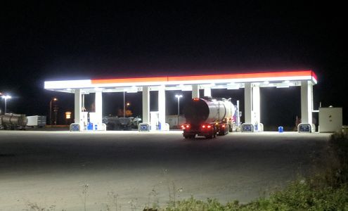 Grassland Husky Grassland