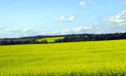 Hythe Cardlock Dealer Hythe