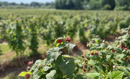 Riverbend Farms 44 72nd St, South Haven Michigan 49090