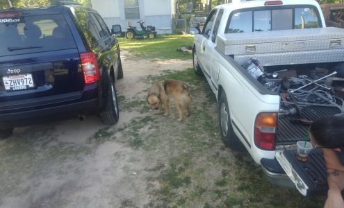 Edwin Tuttle Currie Park Mooringsport Mooringsport
