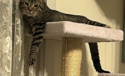 Siouxland Humane Society