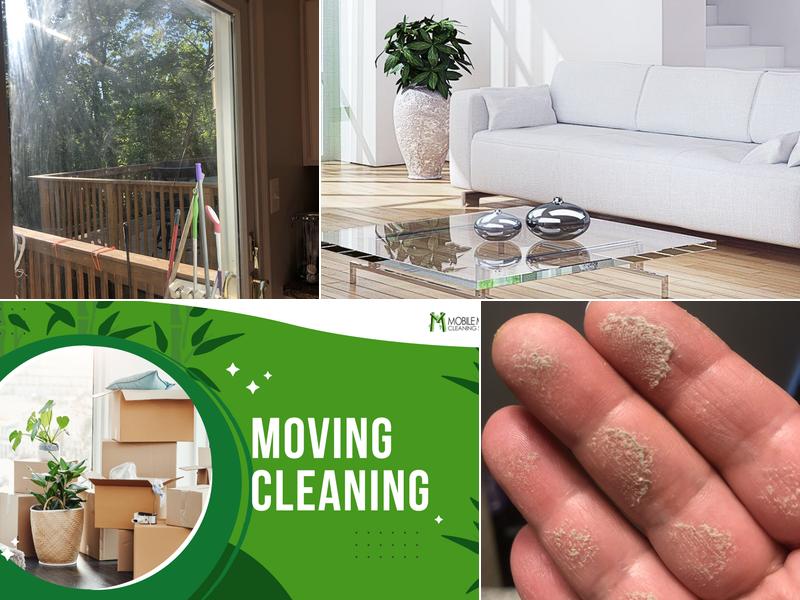 Mobile Maids Cleaning Service