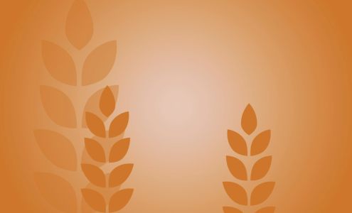 Feeding Southwest Virginia