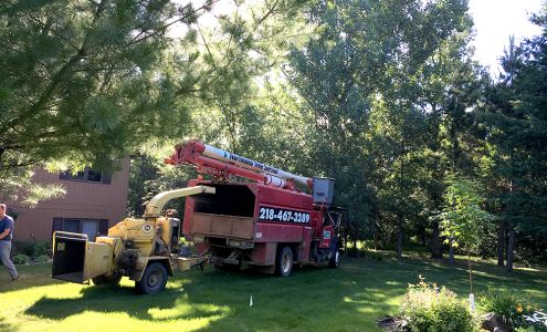 Northland Tree Service & Logging 14394 Thoren Dr NW, Bemidji Minnesota 56601