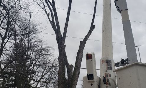 Barkema Tree Service Belmond