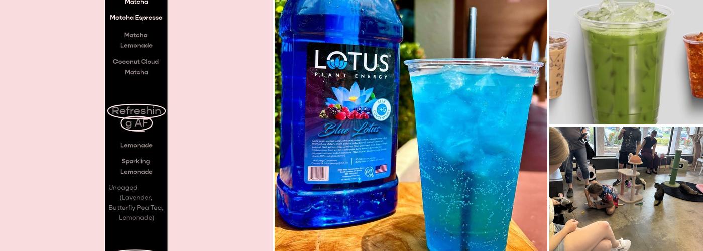 Purrology Cat Cafe Menu