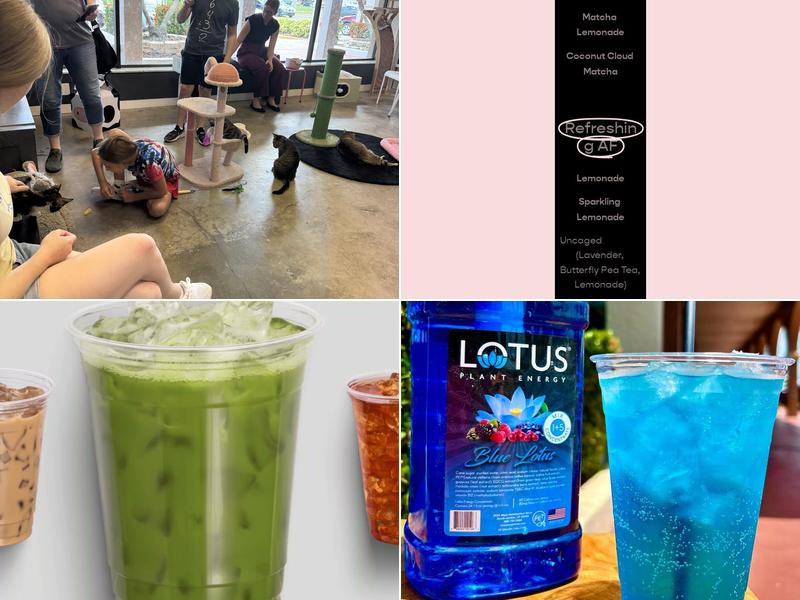 Purrology Cat Cafe Menu