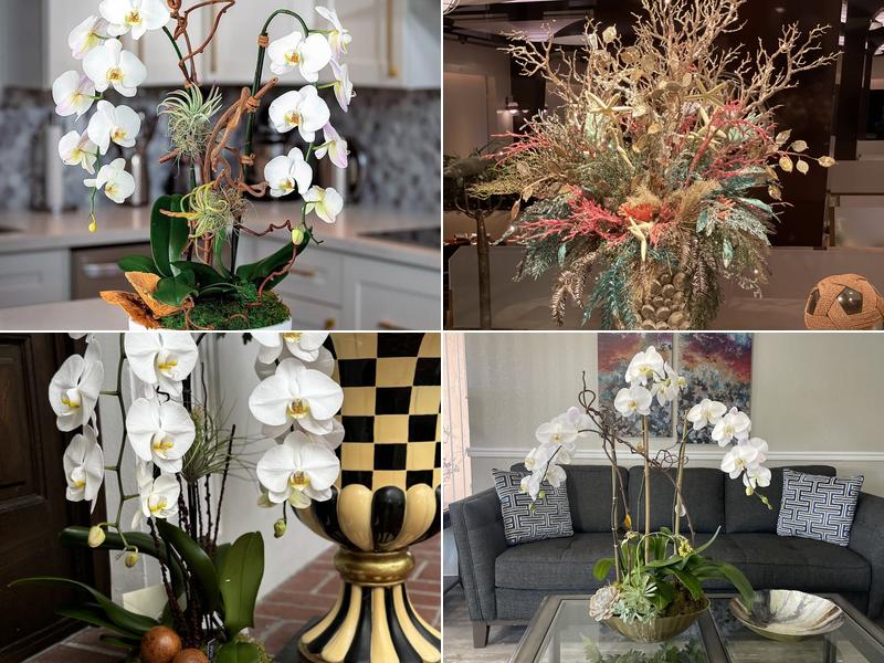 Viva Orchids of Boca Raton