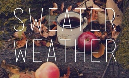 RENEW Aesthetics & Day Spa