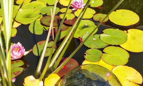 Creekside Massage, Julie Janda, LMP 260 Tyee Ridge Rd, Beaver Washington 98305