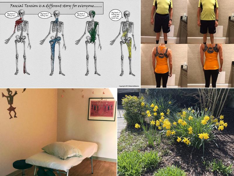 SerendipPT Pain Relief and Pelvic Health