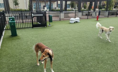 Springline - The Glade (Dog Park)