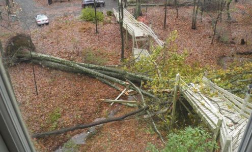 Brian Singer Public Adjuster