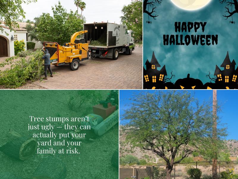 ArborCraft Tree Service