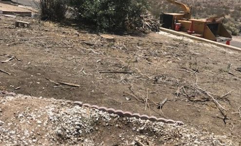 Town & Country Tree Services