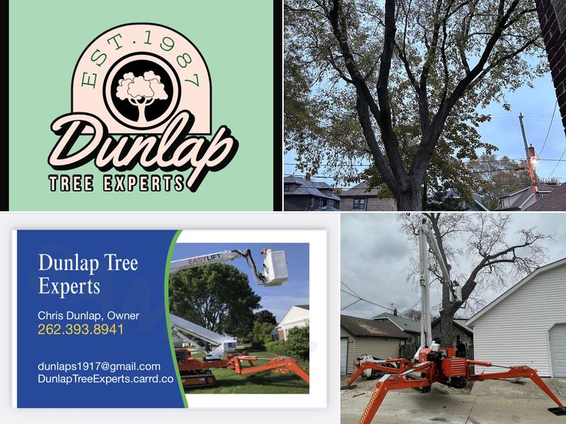 Dunlap Tree Experts