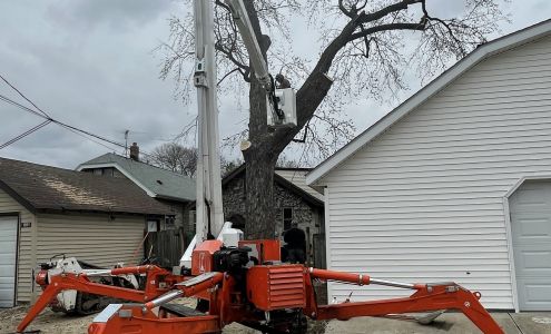 Dunlap Tree Experts 11817 Adams Rd, Franksville Wisconsin 53126