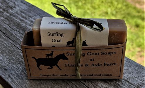 Surfing Goat Soaps at Hames & Axle Farm 18 Kraetzer Rd, Ashburnham Massachusetts 01430