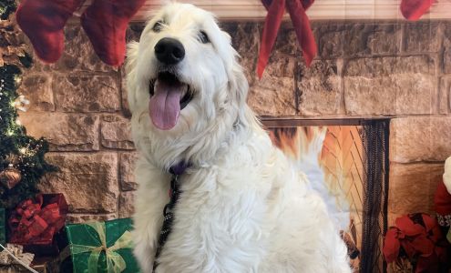 West End Veterinary Clinic