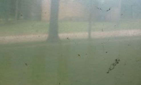 Miltonvale High School Miltonvale