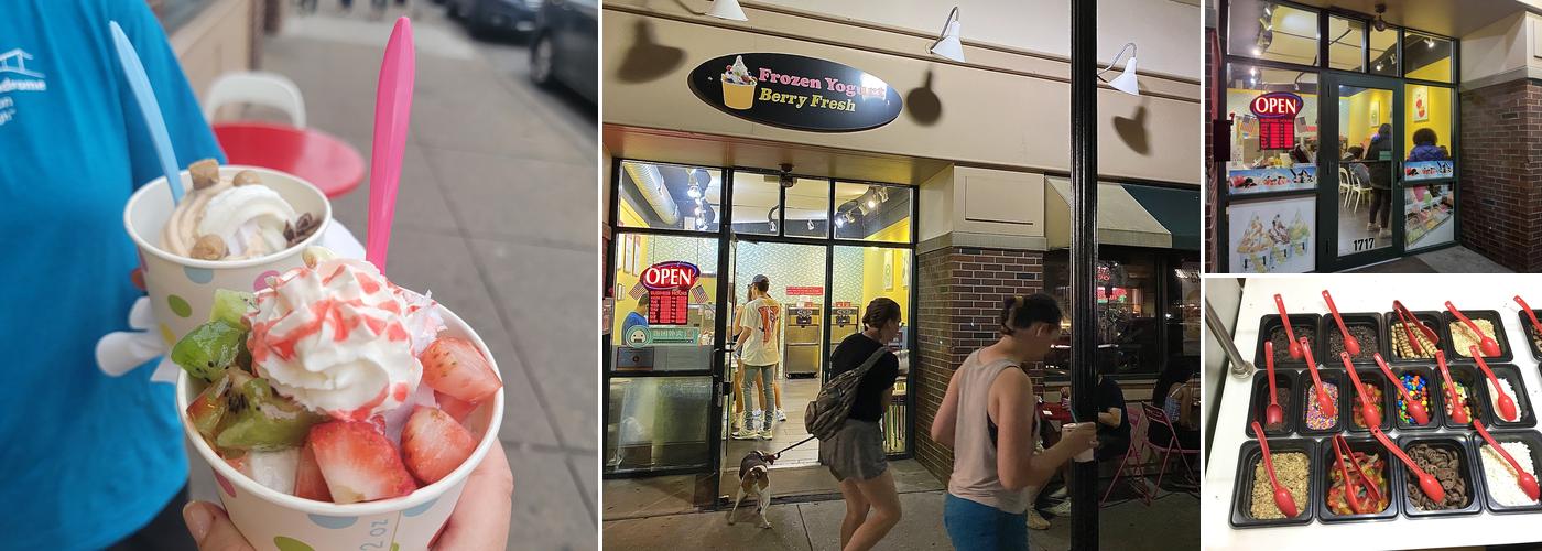 Berry Fresh Frozen Yogurt