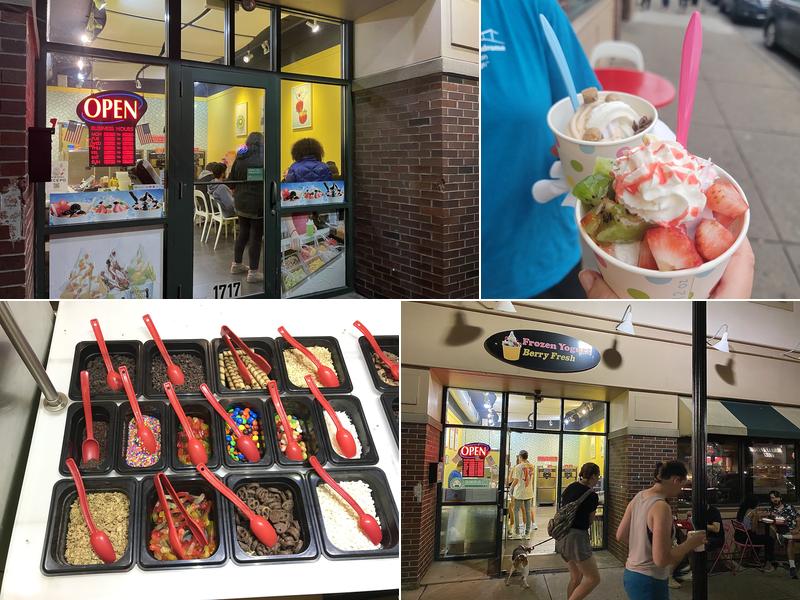 Berry Fresh Frozen Yogurt