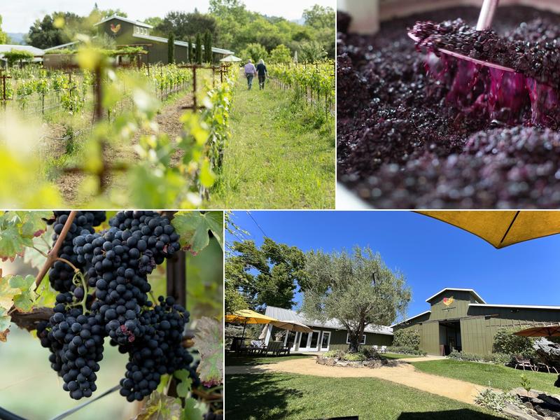 DaVero Farms & Winery