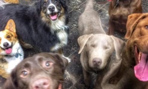 The Hound Lounge 520 6th St, Havre Montana 59501