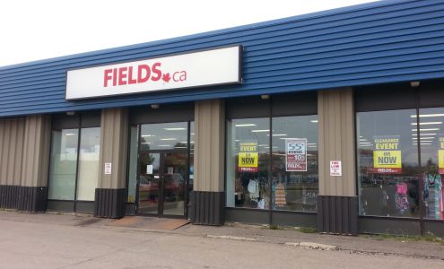 FIELDS High Level