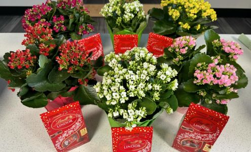 Optométrie de la Baie - Dr Elaine Landry Optométriste 924 Rue Principale, Beresford New Brunswick E8K 0E5