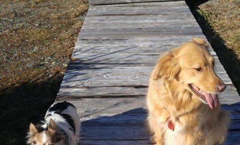 Anke's Bed Breakfast Sheet Harbour