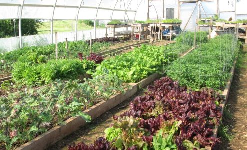 Cochrane Family Farm 5324 NS-289, Upper Stewiacke Nova Scotia B0N 2P0