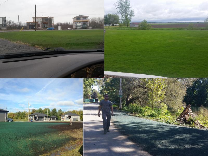 SB Pelouse Hydro-Ensemencement