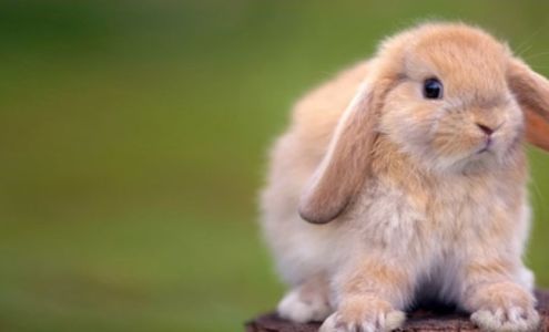 Prairie Co-op -- Ituna Farm Supply 223 1 Ave NE, Ituna Saskatchewan S0A 1N0